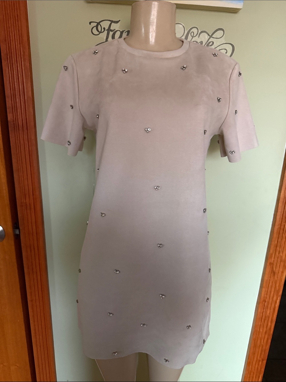 Zara Beaded Short Sleeve Mini Dress in Light Taupe